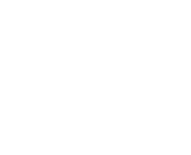 the-masonic temple